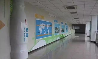 春意盎然，活力蘇州 從草莓采摘到千人徒步，一周熱門活動(dòng)指南（2.27-3.5）